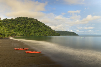Playa Nicuesa Rainforest Lodge photo 4